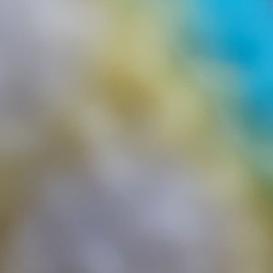 Meet your Posher, Irma